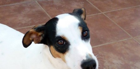 Laura