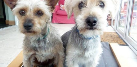 Bert & Meggie – RE-HOMED