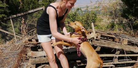 Chelsea – Reserved