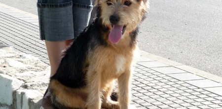 Barnie