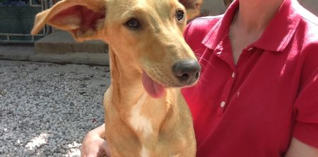 MYRA – now homed