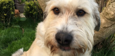 Wilma
